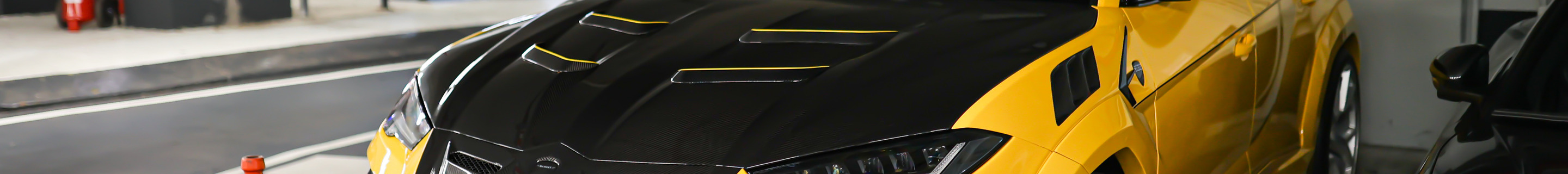 Lamborghini Urus Mansory Venatus