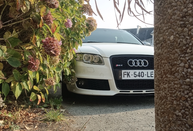 Audi RS4 Avant B7