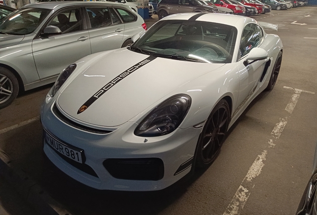 Porsche 981 Cayman GT4