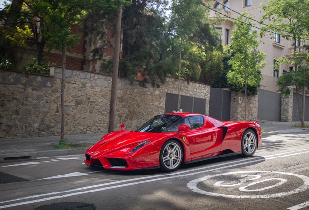 Ferrari Enzo Ferrari