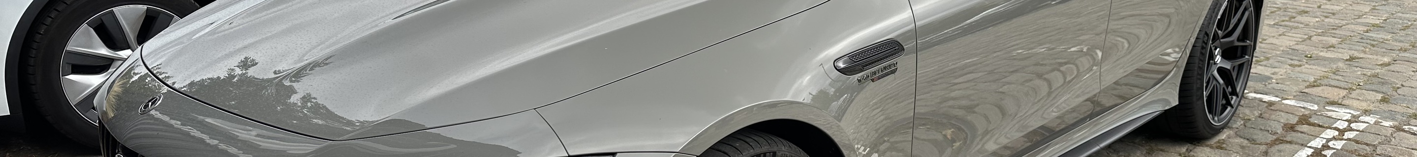 Mercedes-AMG GT 63 S E-Performance X290