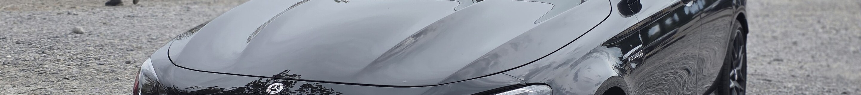 Mercedes-AMG E 63 S W213 2021