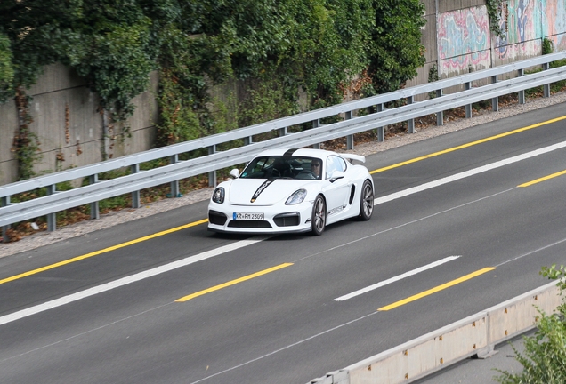Porsche 981 Cayman GT4