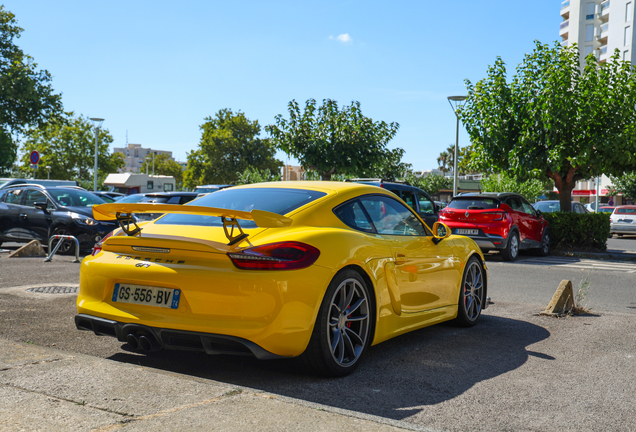 Porsche 981 Cayman GT4