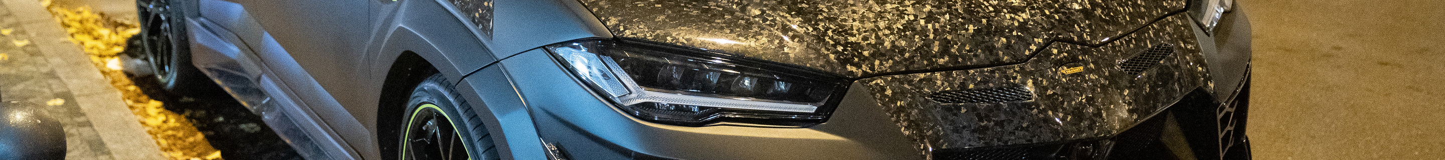 Lamborghini Urus Mansory Venatus EVO