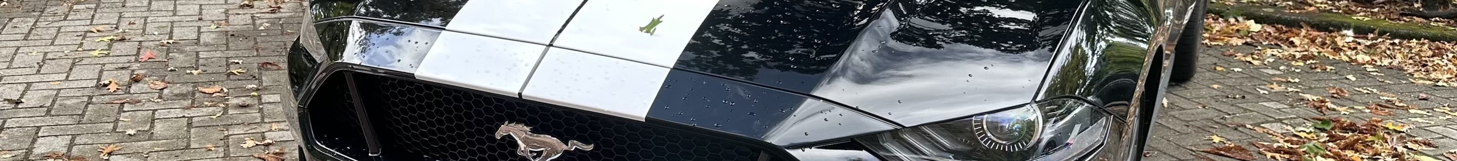 Ford Mustang GT Convertible 2018