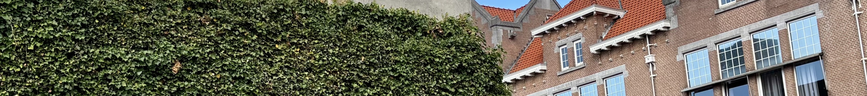 Mercedes-AMG GT 63 S X290 2022