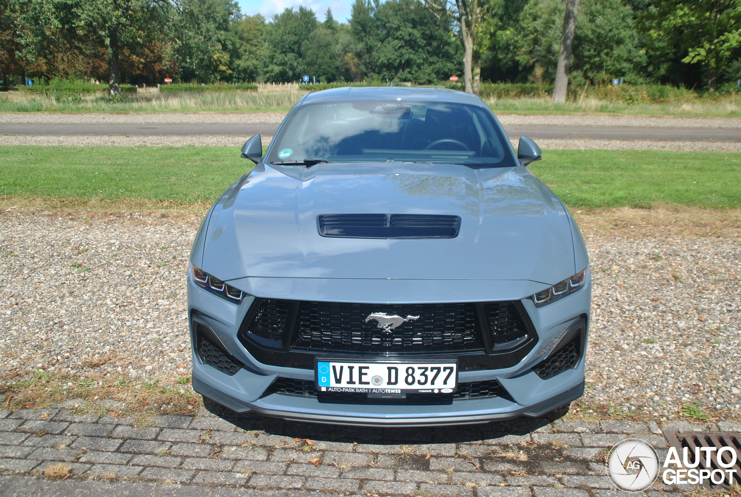 Ford Mustang GT 2024