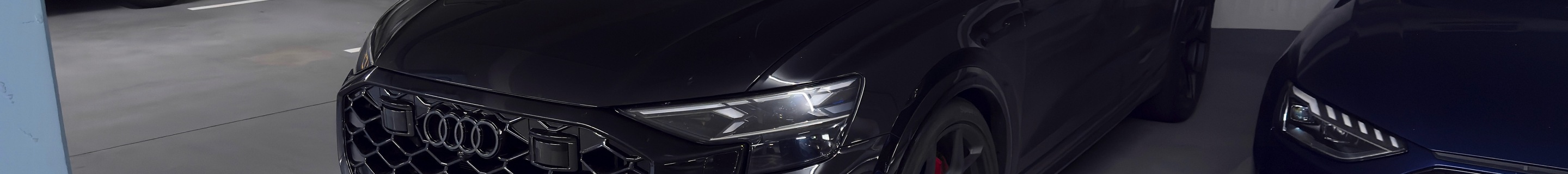 Audi RS Q8 2024