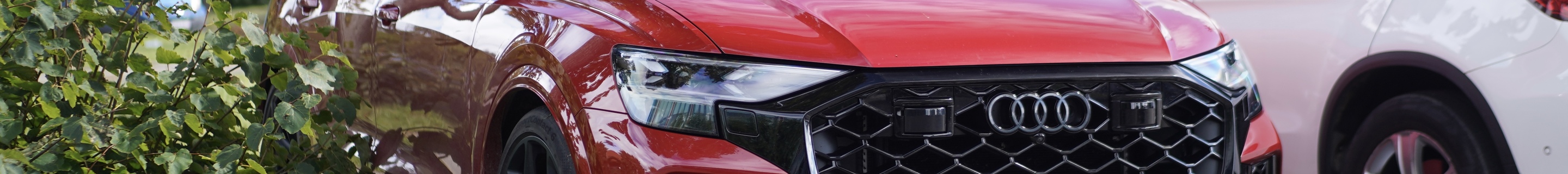 Audi RS Q8 2024