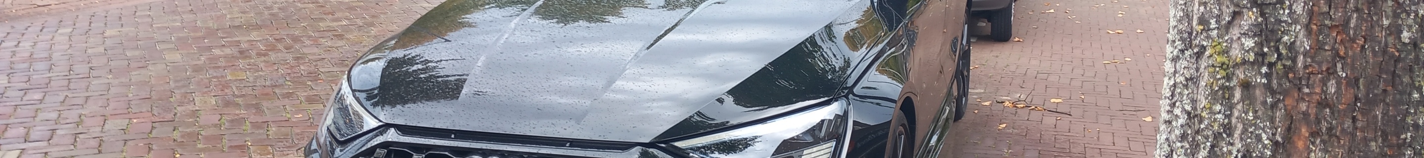 Audi RS3 Sportback 8Y