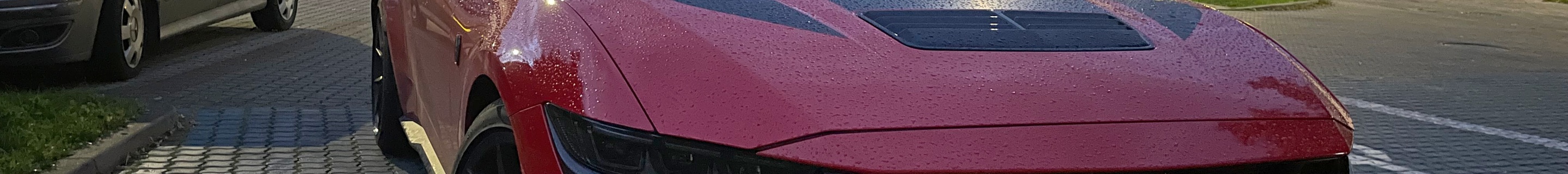 Ford Mustang Dark Horse 2024