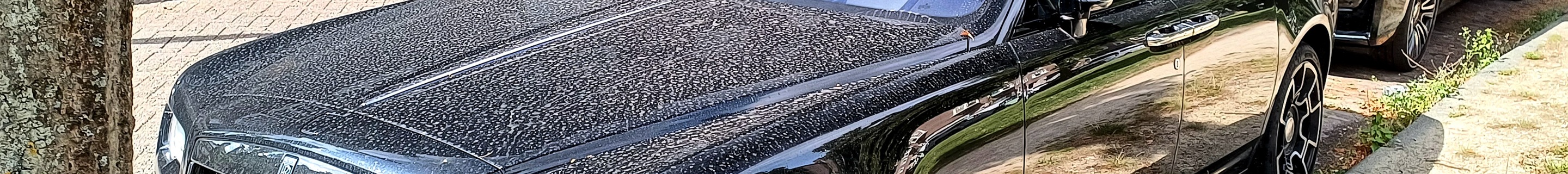 Rolls-Royce Ghost Series II Black Badge