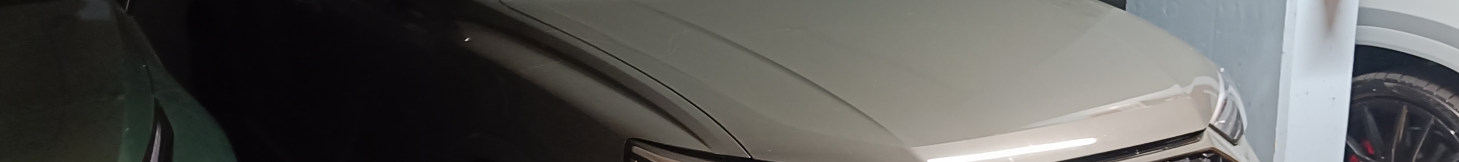 Audi RS Q3 2020