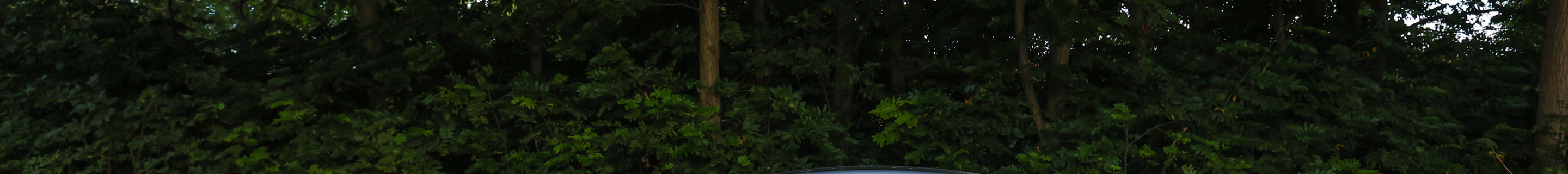 BMW M6 F06 Gran Coupé