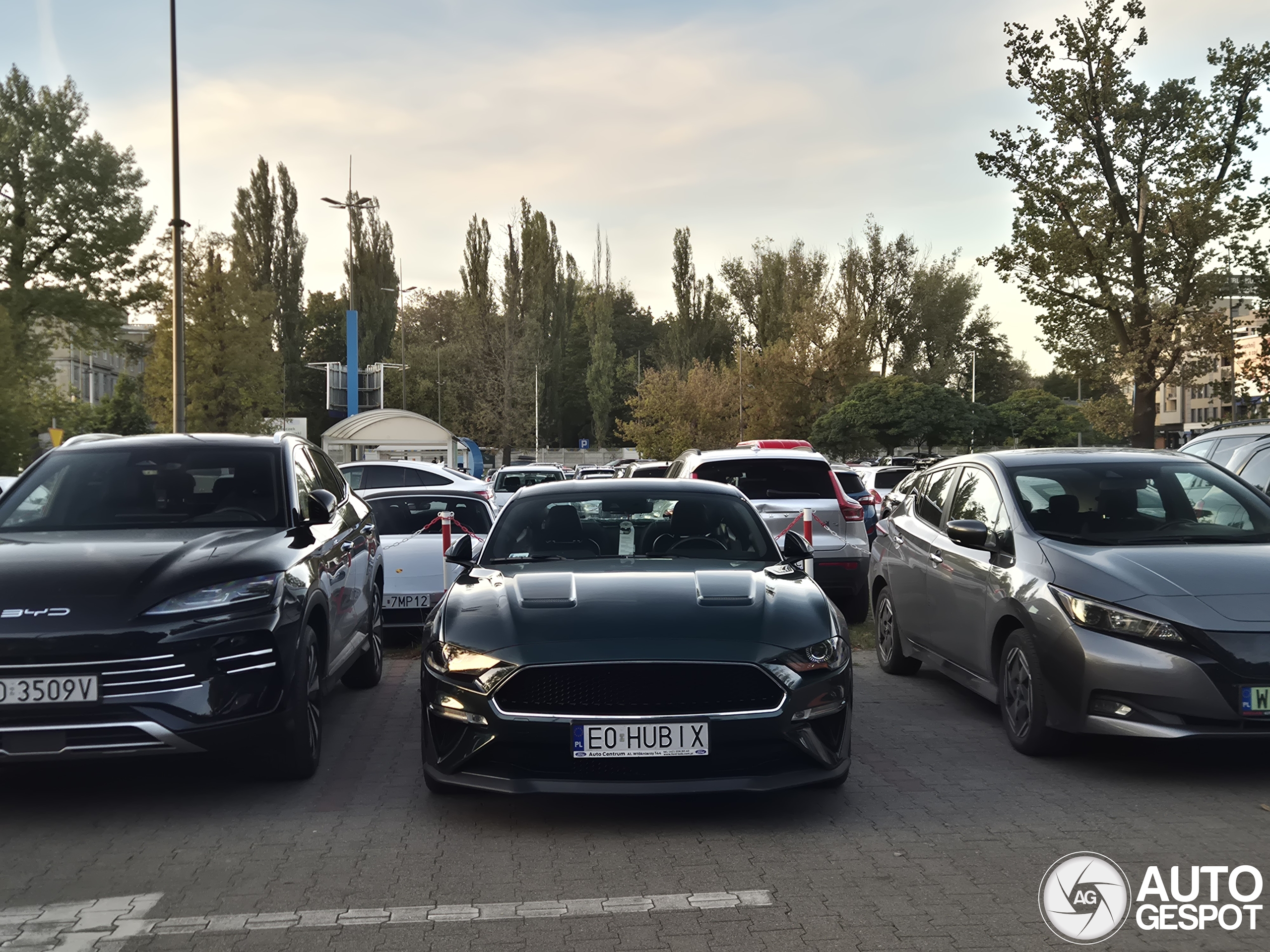 Ford Mustang Bullitt 2019