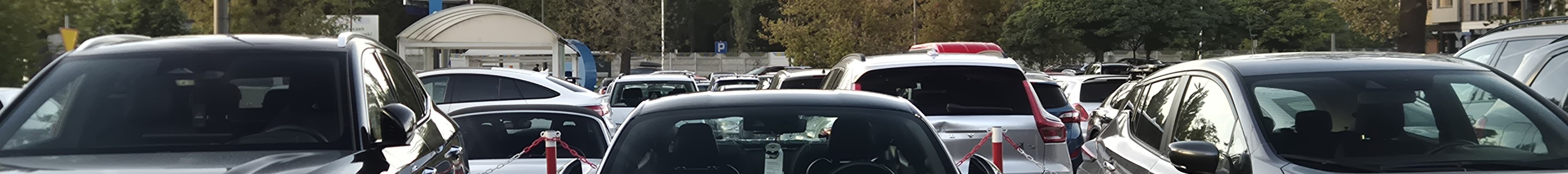 Ford Mustang Bullitt 2019