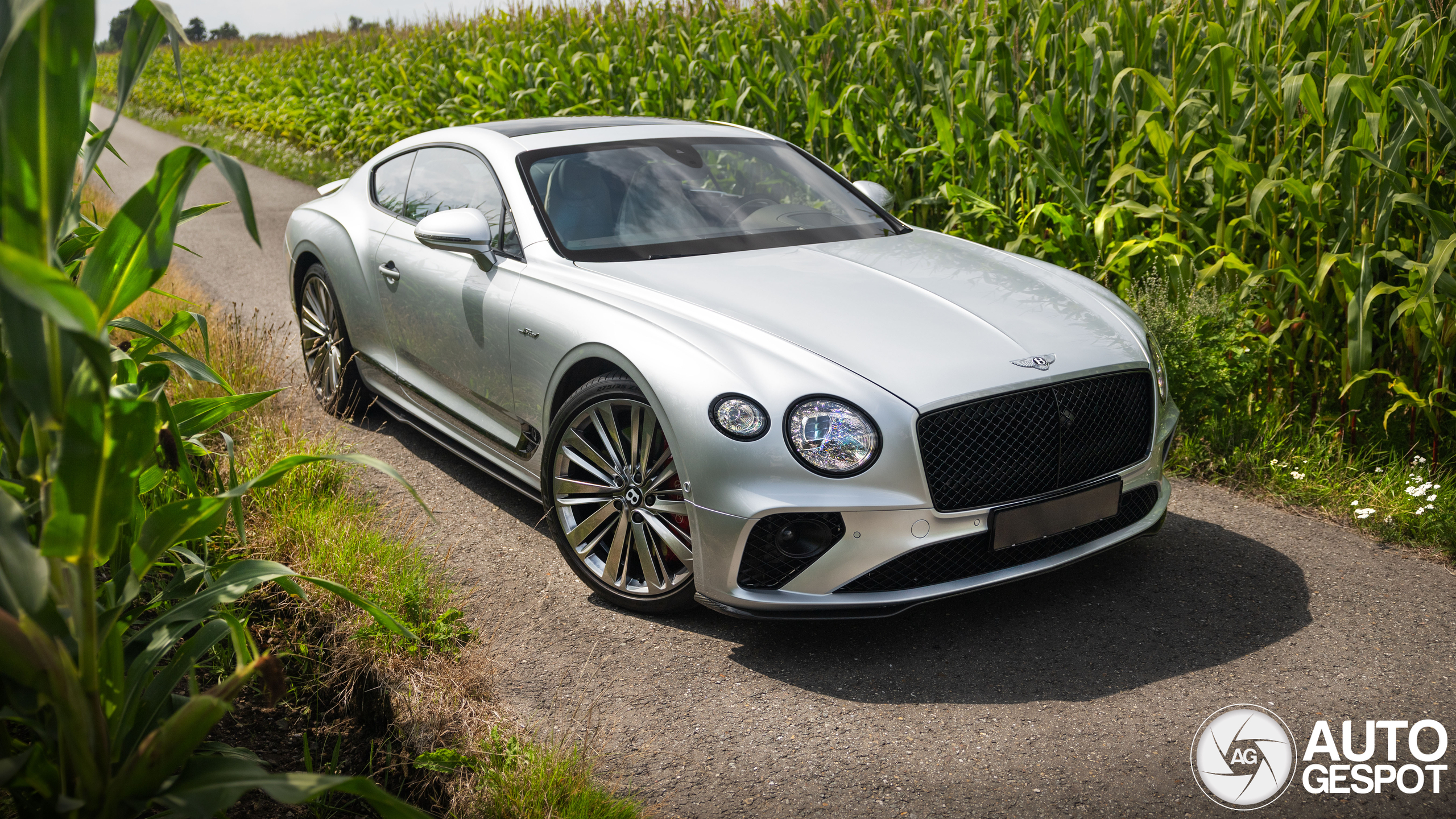 Bentley Continental GT Speed 2021