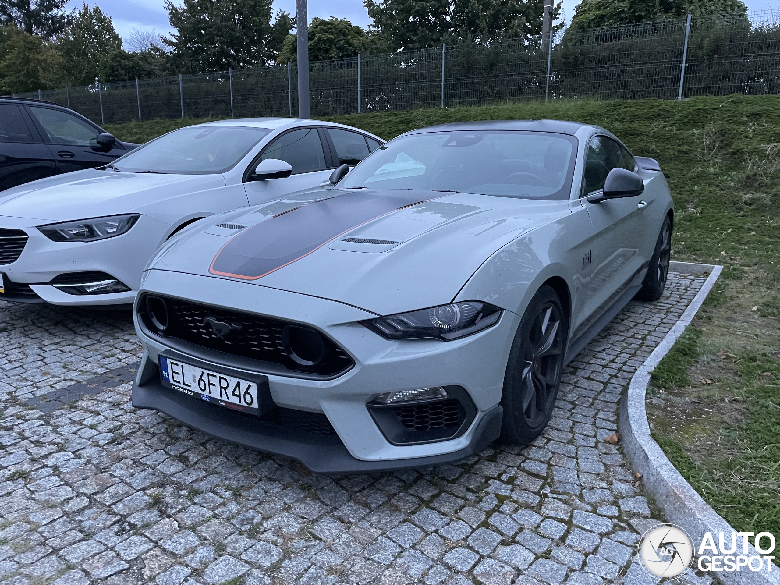 Ford Mustang Mach 1 2021