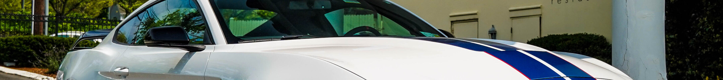 Ford Mustang Shelby GT350R 2015