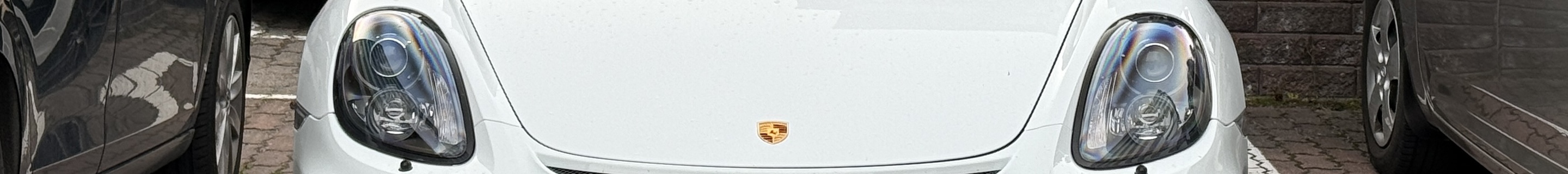 Porsche 981 Boxster Spyder