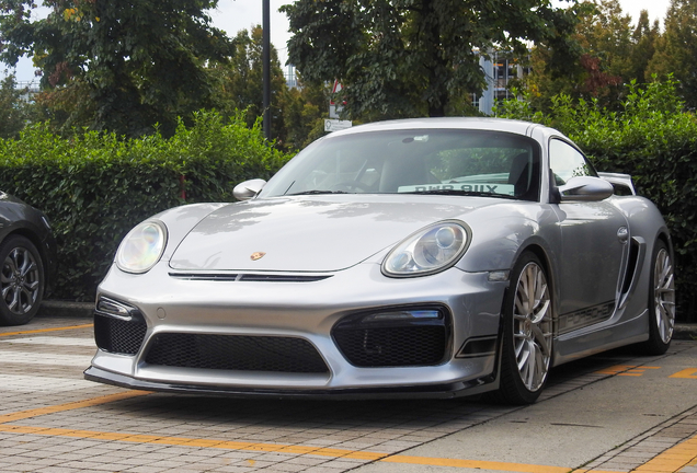 Porsche TechArt Cayman S