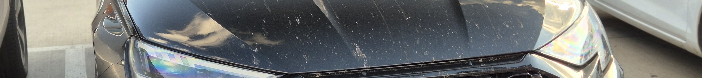 Audi RS3 Sportback 8Y