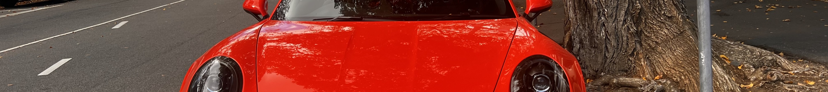 Porsche 991 GT3 RS MkI