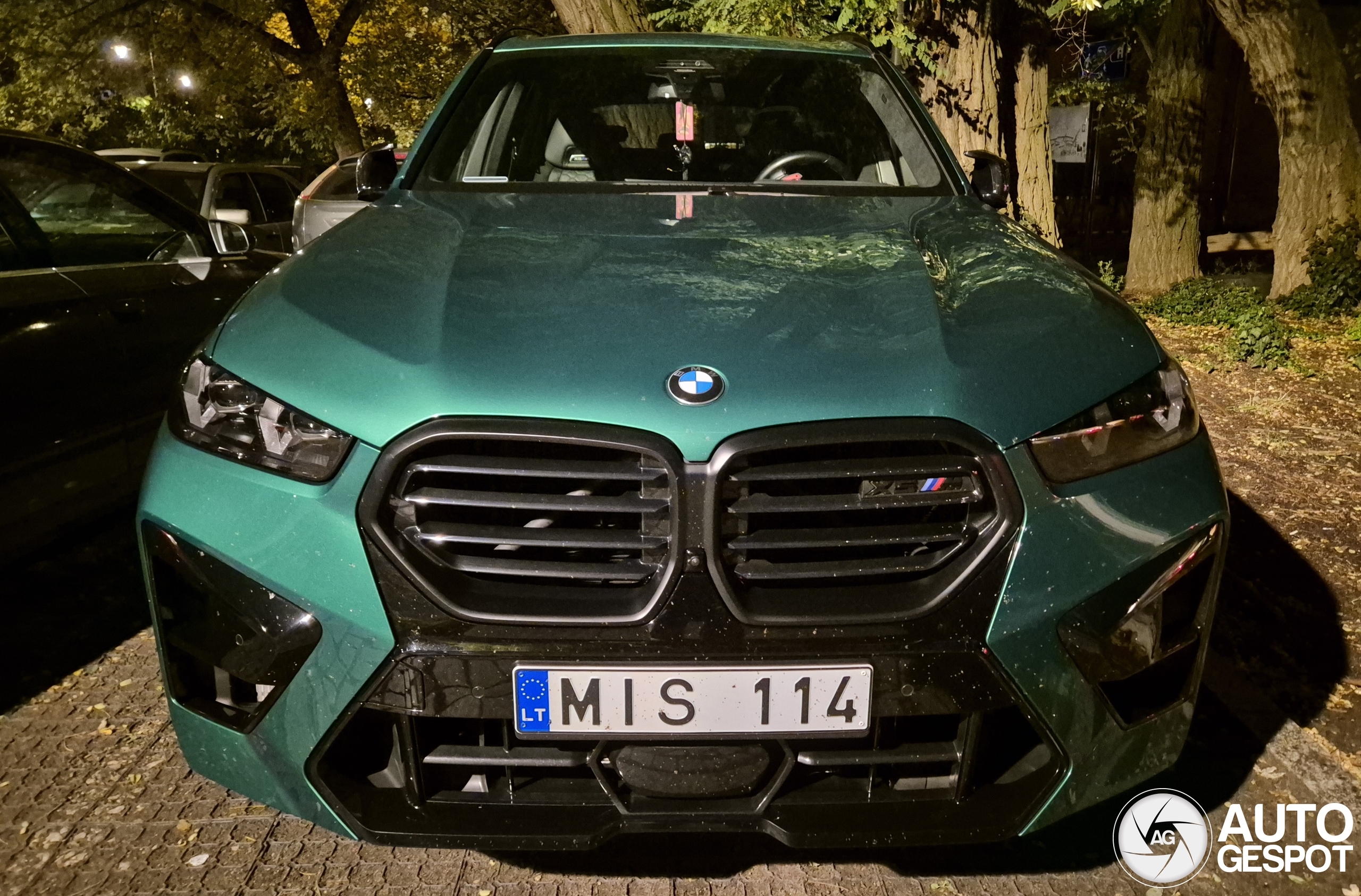 BMW X5 M F95 Competition 2024