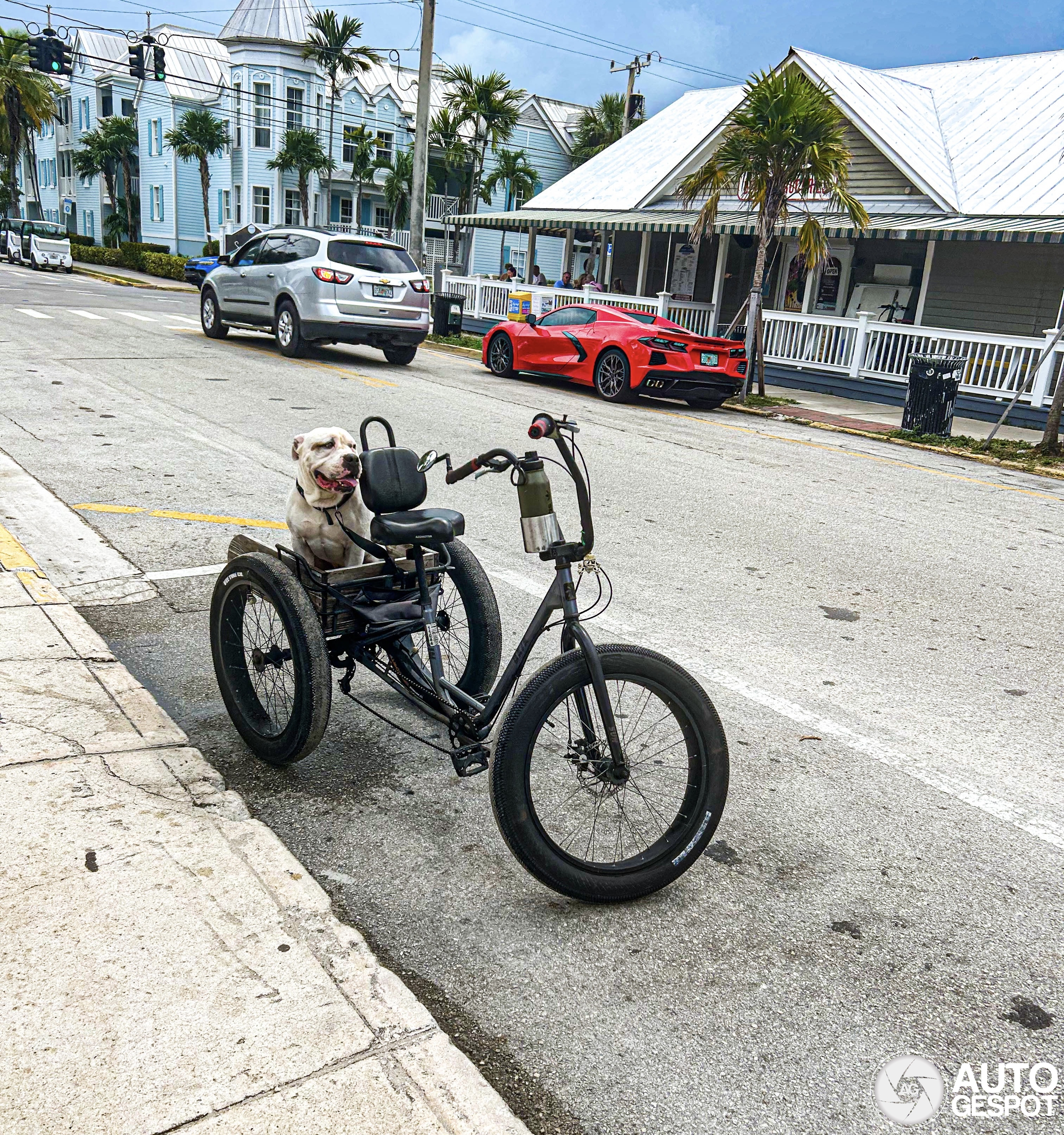 Chevrolet Corvette C8 Stingray Convertible