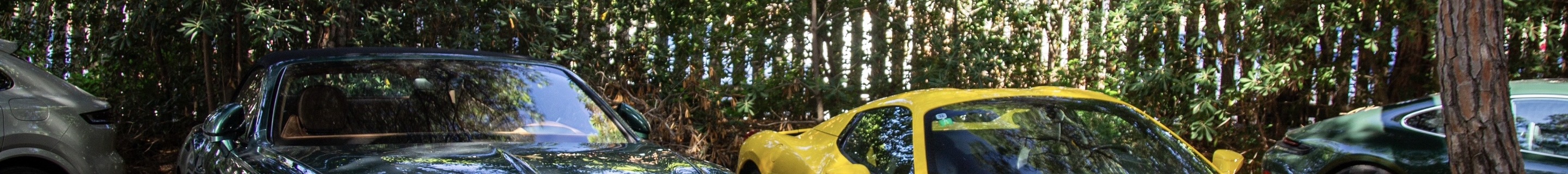 Bentley Continental GTC Speed 2021