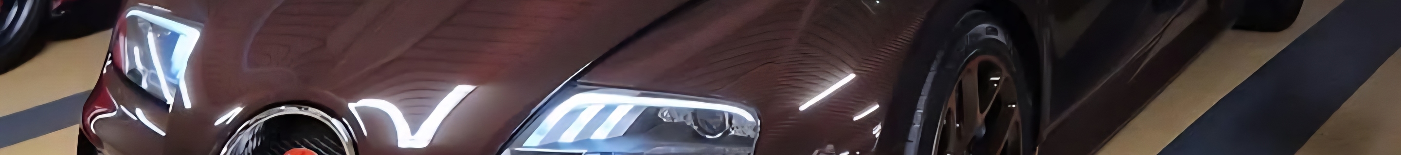 Bugatti Veyron 16.4 Grand Sport Vitesse Rembrandt Bugatti