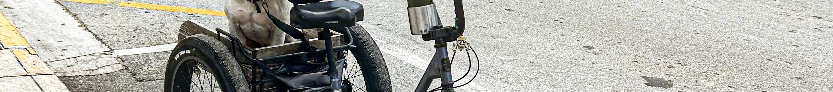 Chevrolet Corvette C8 Stingray Convertible