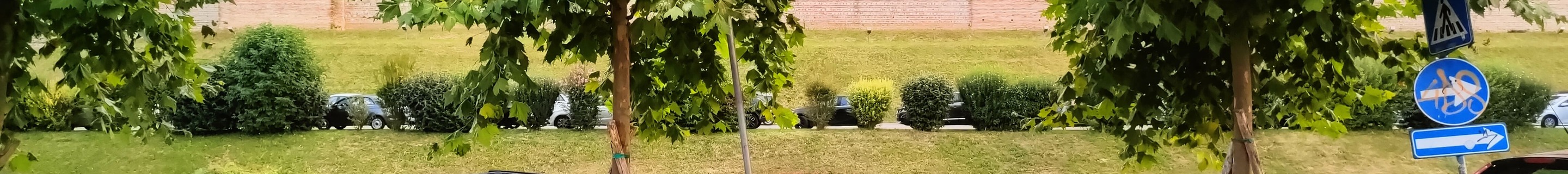 Porsche 992 GT3 RS MkI