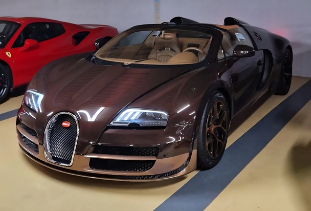 Bugatti Veyron 16.4 Grand Sport Vitesse Rembrandt Bugatti
