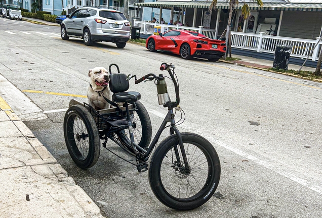 Chevrolet Corvette C8 Stingray Convertible
