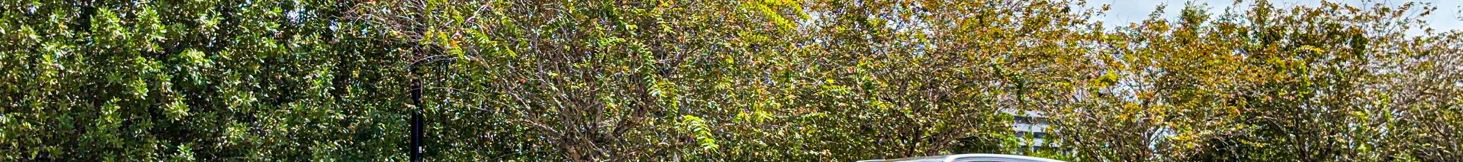 Bentley Bentayga V8 2021