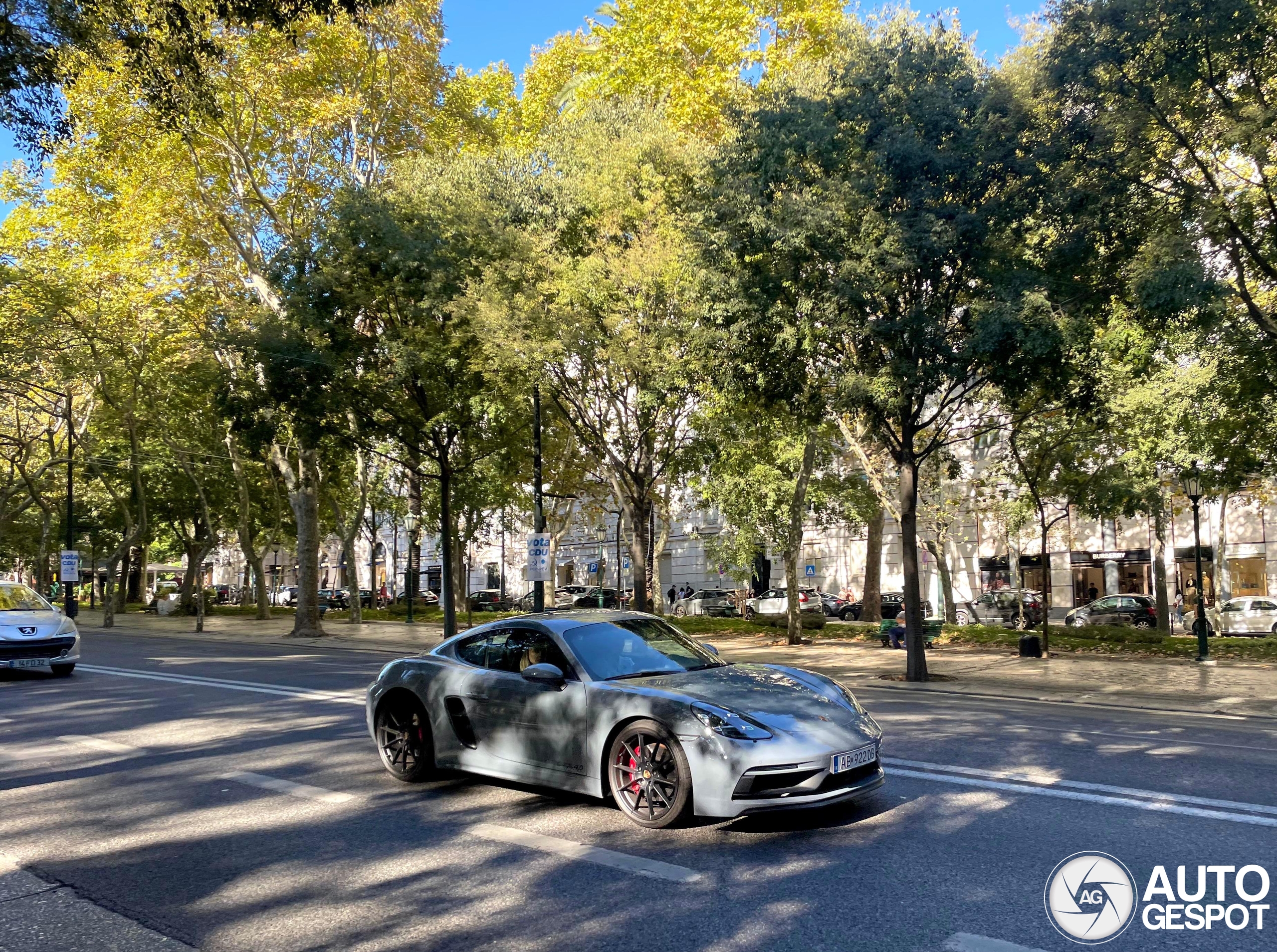 Porsche 718 Cayman GTS 4.0