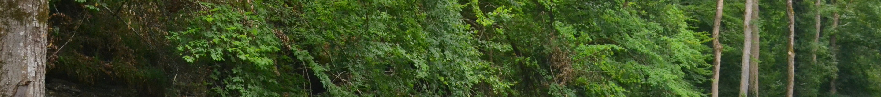 BMW M3 F80 Sedan 30 Jahre Edition