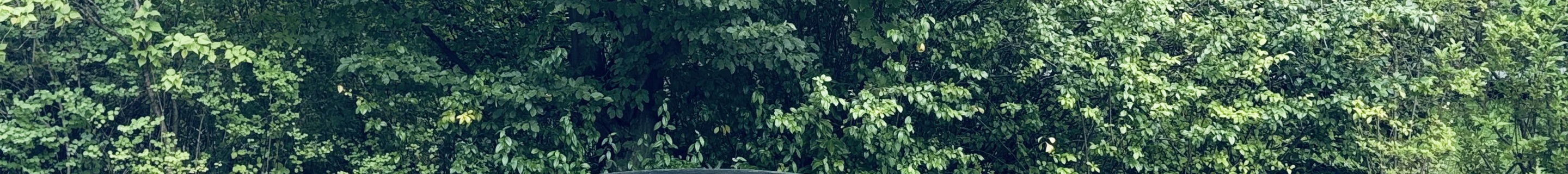 Porsche Taycan Turbo S MkI