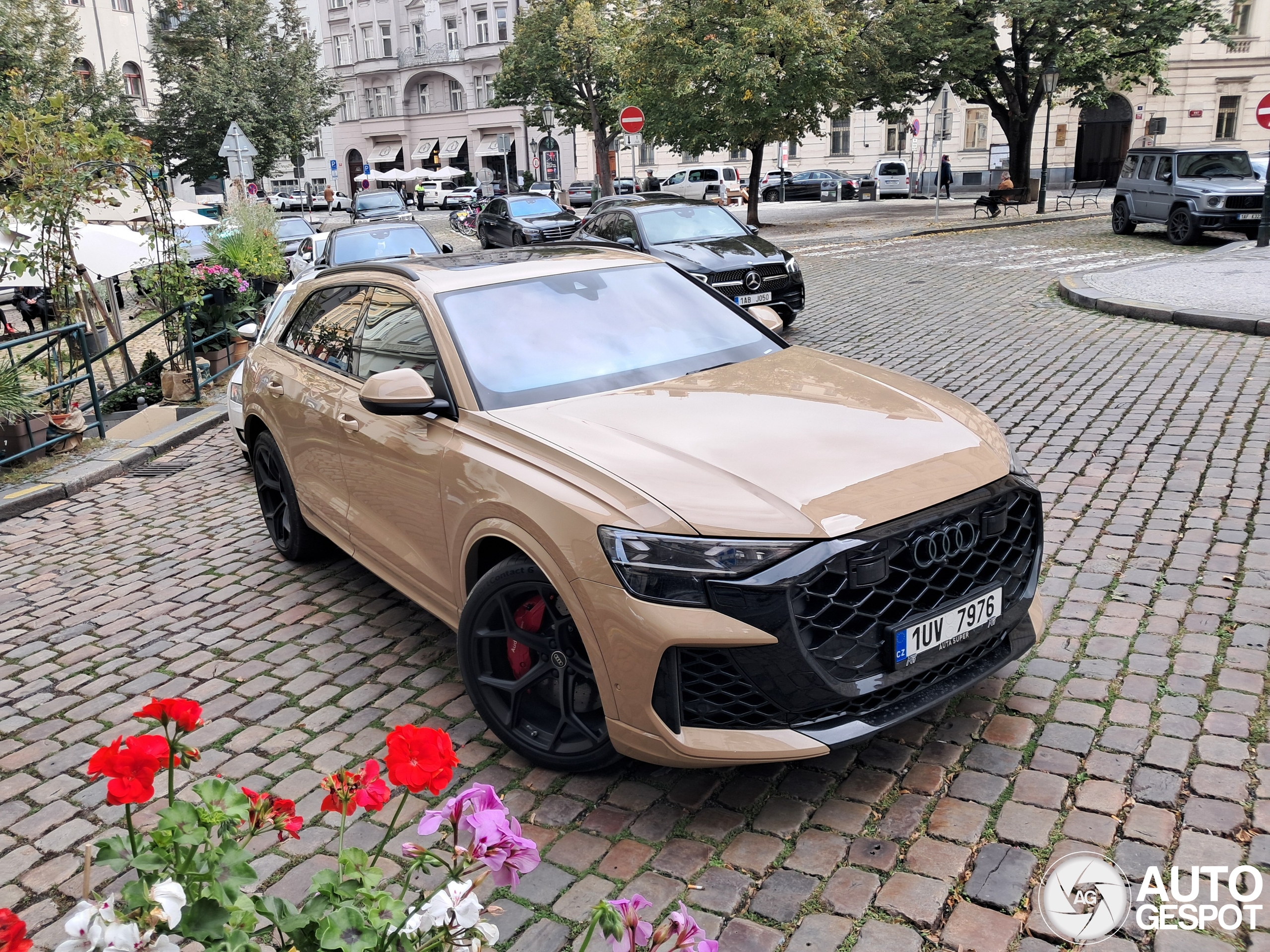 Audi RS Q8 2024
