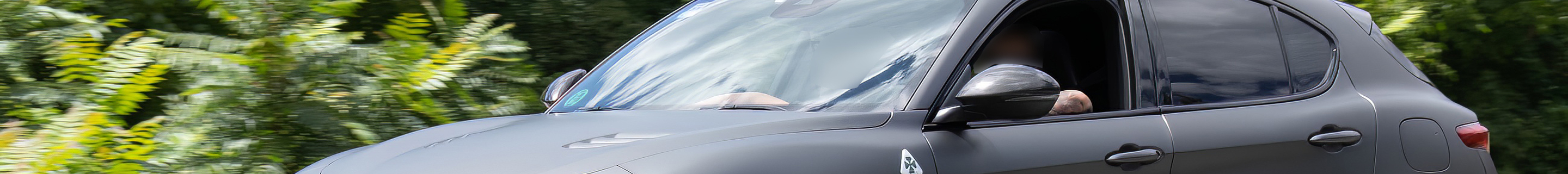 Alfa Romeo Stelvio Quadrifoglio