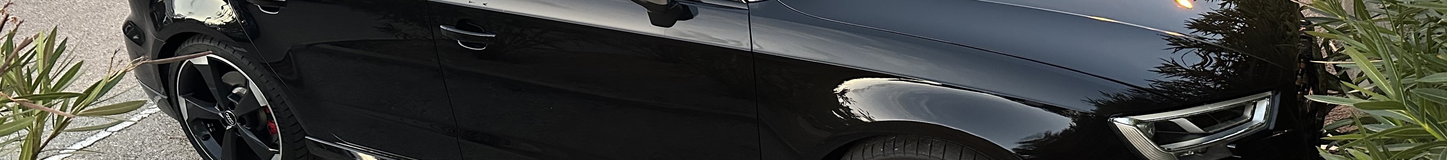 Audi RS3 Sportback 8V 2018