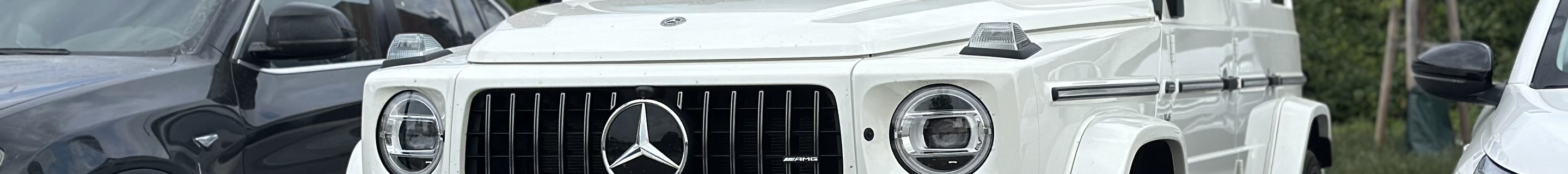 Mercedes-AMG G 63 W463 2018 Stronger Than Time Edition