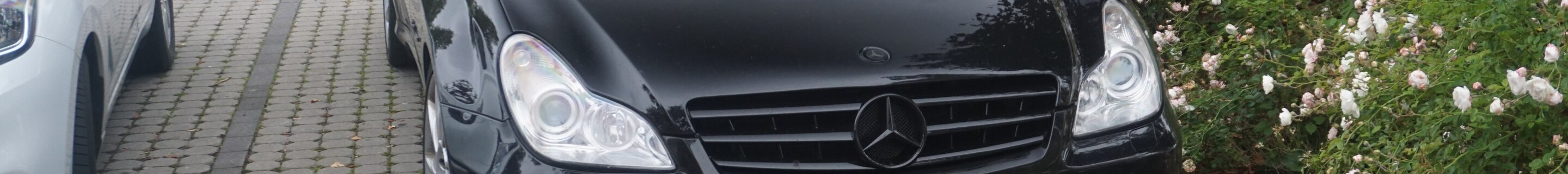 Mercedes-Benz CLS 63 AMG C219