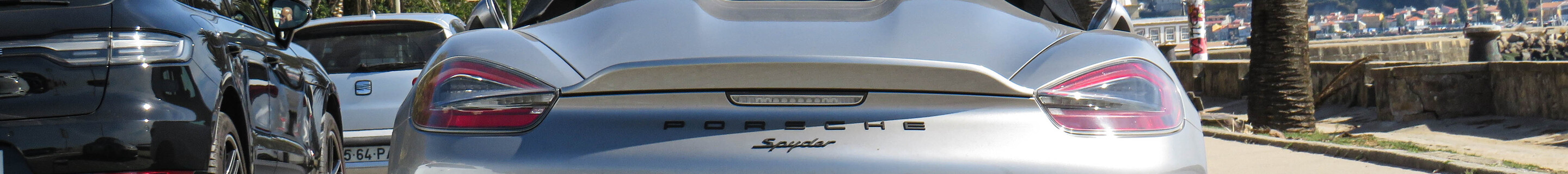 Porsche 981 Boxster Spyder