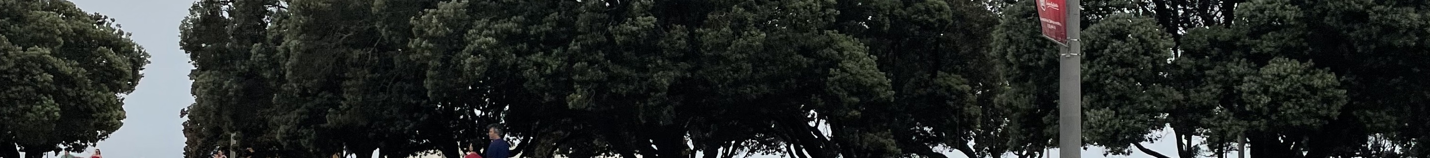 Aston Martin DB7 Volante