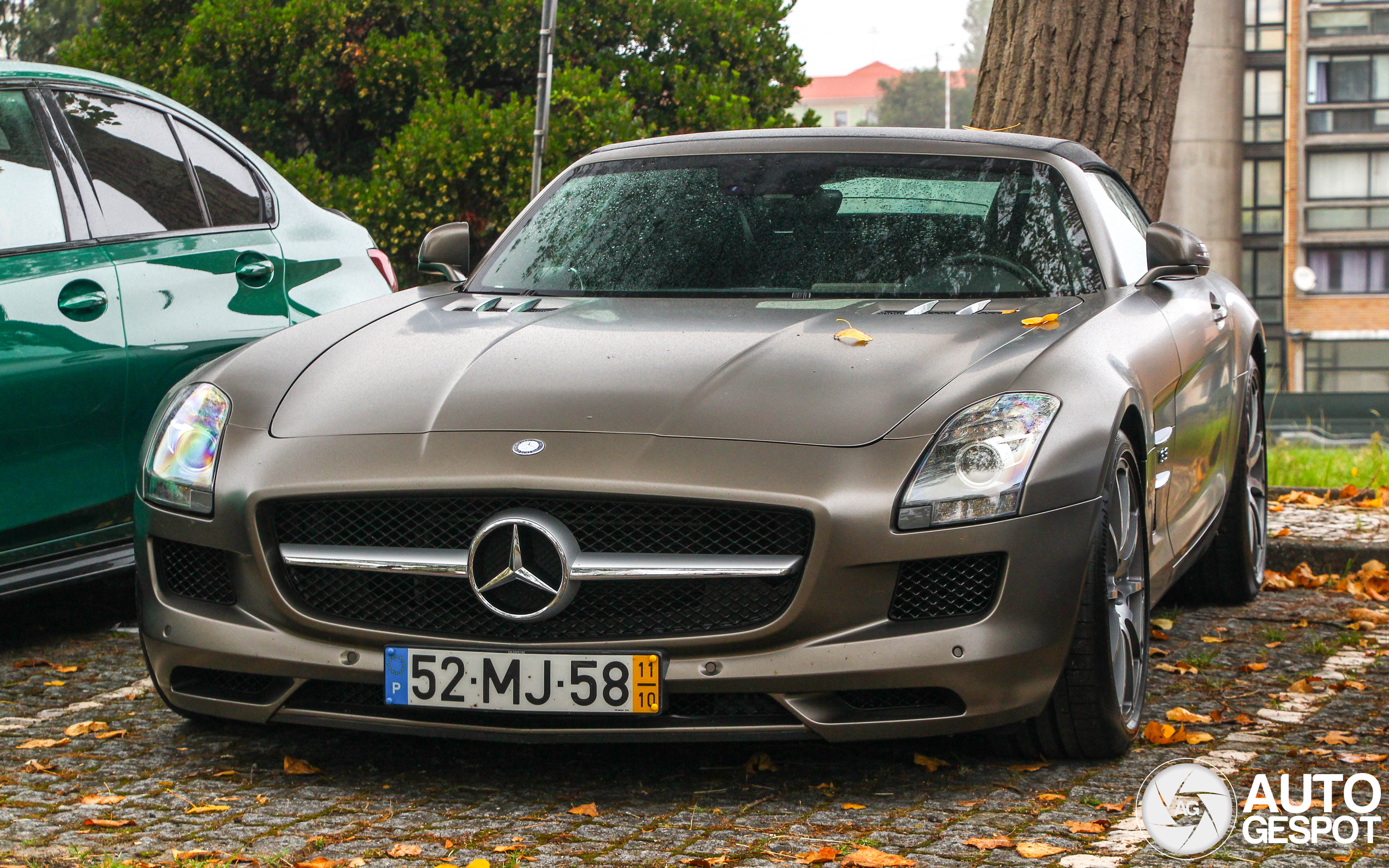 Mercedes-Benz SLS AMG Roadster