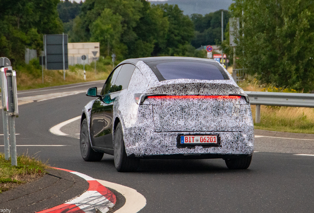 Tesla Motors Model Y L