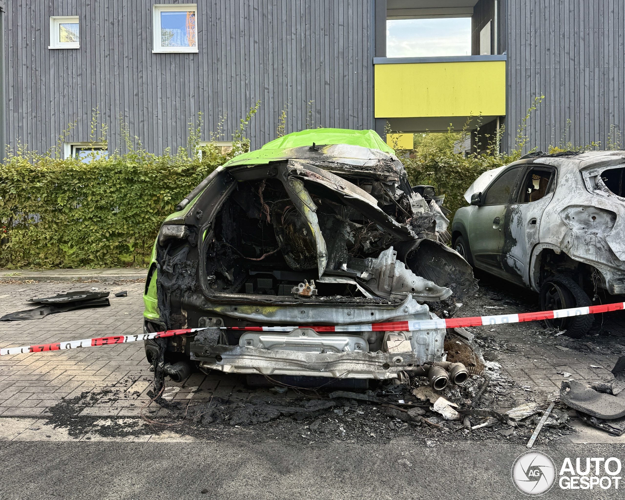 Groene Urus ligt laag bij de grond